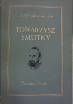 Towarzysz smutny
