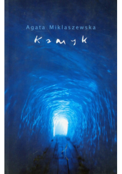 Kamyk
