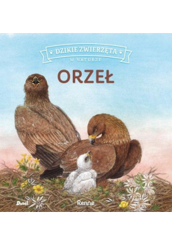 Dzikie zwierzęta w naturze Orzeł