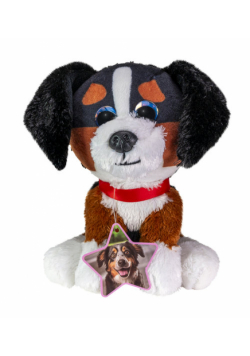 Lumo Bernese mountain dog Bruno classic