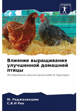 Влияние выращивания улучшенной домашней птицы