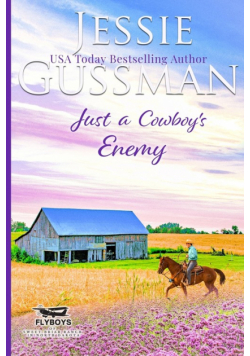Just a Cowboy's Enemy (Sweet western Christian romance book 3) (Flyboys of Sweet Briar Ranch in North Dakota) Large Print Edition