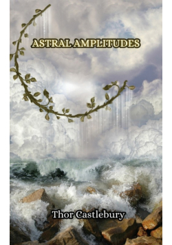 Astral Amplitudes