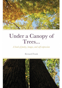 Under a Canopy of Trees...