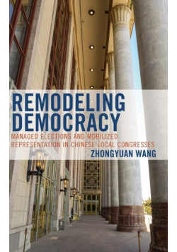 Remodeling Democracy
