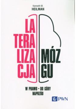 Lateralizacja mózgu W górę - w prawo - naprzód