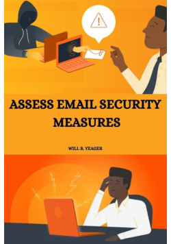 Assess email security measures