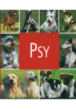 Psy
