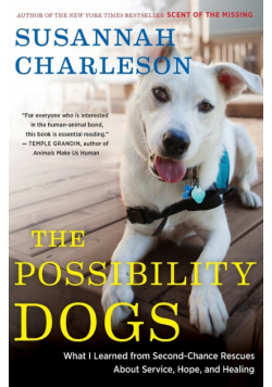 Possibility Dogs