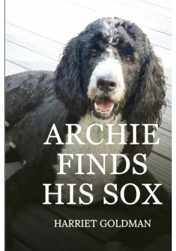 Archie Finds His Sox