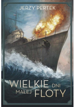 Wielkie dni małej floty