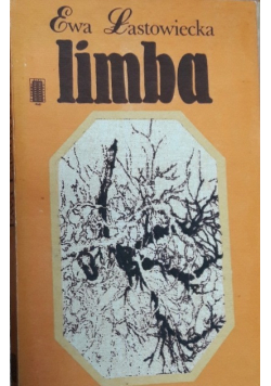 Limba