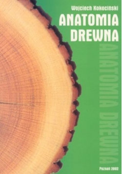 Anatomia drewna
