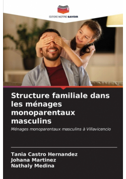 Structure familiale dans les ménages monoparentaux masculins