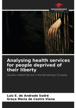 Analysing health services for people deprived of their liberty