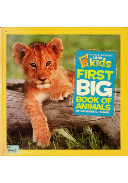 Little Kids First Big Book of Animals