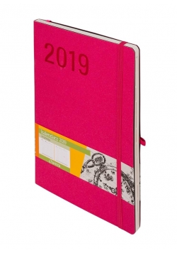 Kalendarz 2019 Impresja B5 Różowy TDW ANTRA