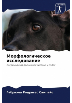 Морфологическое исследование