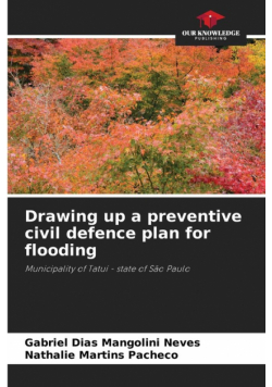 Drawing up a preventive civil defence plan for flooding