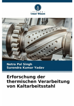 Erforschung der thermischen Verarbeitung von Kaltarbeitsstahl