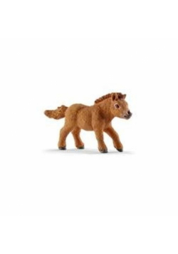 Mini Shetty źrebię