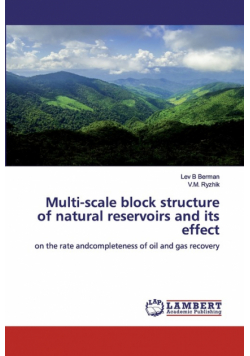 Multi-scale block structure of natural reservoirs and its effect