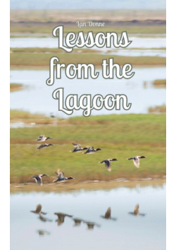 Lessons from the Lagoon