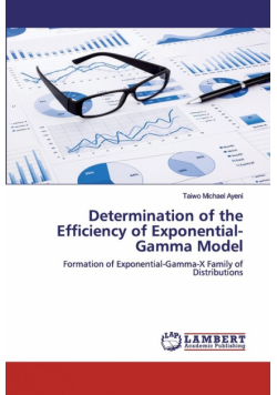 Determination of the Efficiency of Exponential-Gamma Model