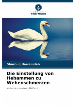 Die Einstellung von Hebammen zu Wehenschmerzen