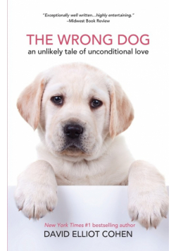 The Wrong Dog