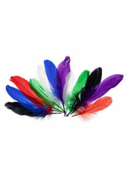 Piórka gęsie jaskrawe 15-20cm