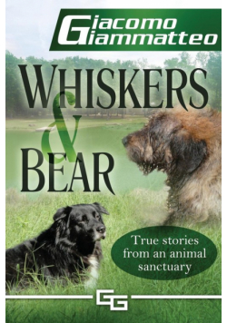 Whiskers and Bear
