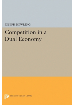 Competition in a Dual Economy
