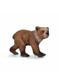 Młody niedźwiedź Grizzly