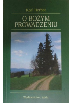O Bożym prowadzeniu