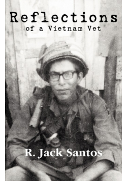 Reflections of a Vietnam Vet