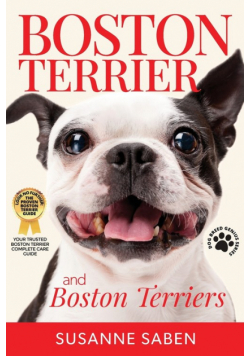 Boston Terrier And Boston Terriers