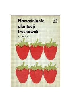 Nawadnianie plantacji truskawek