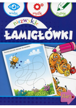 Niezwykłe łamigłówki widzę myślę rysuję