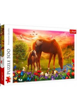 Puzzle 500 Konie na łące