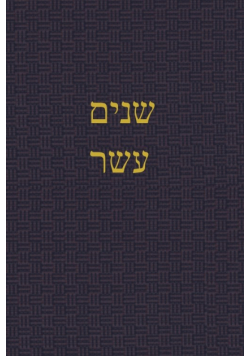 The Book of the Twelve