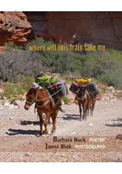 where will this train take me