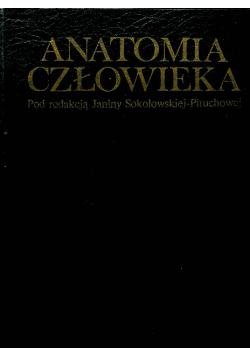 Anatomia człowieka