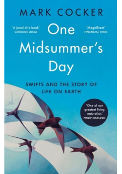 One Midsummer's Day