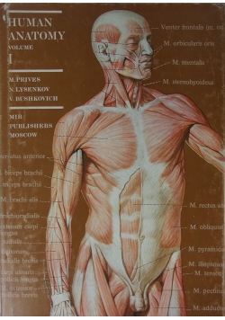 Human Anatomy