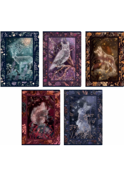 Zeszyt A5/60K linia Fairytale (10szt) TOP2000