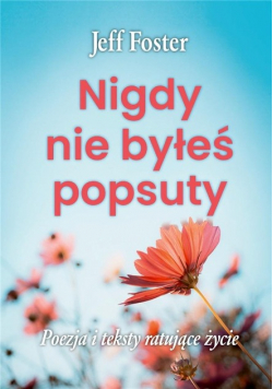 Nigdy nie byłeś popsuty