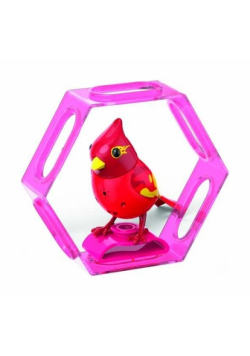 BigiBirds 3 z ramką Blaze