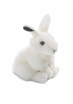 Królik polarny 19 cm