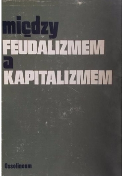 Między feudalizmem a kapitalizmem